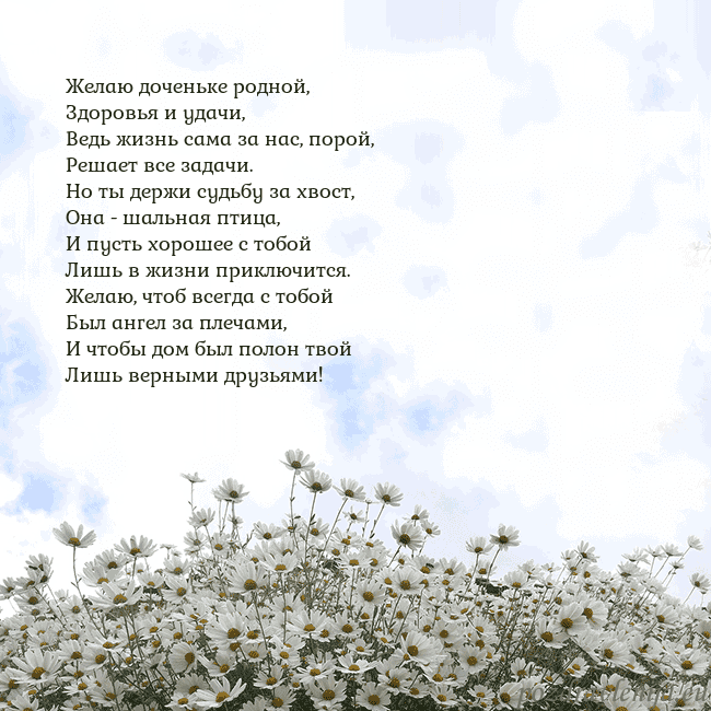 Открытка с ромашками