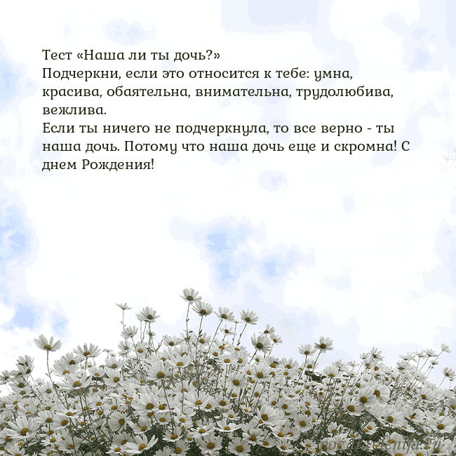 Открытка с ромашками