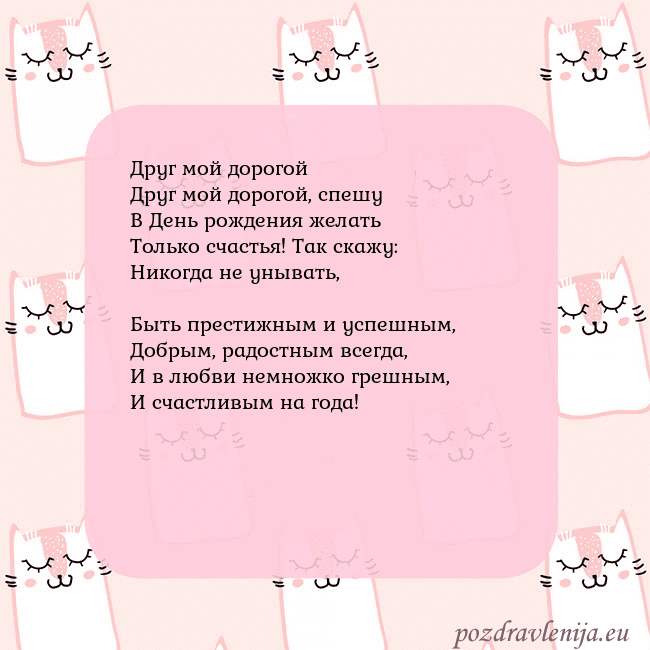 Розовая открытка с забавными кошками