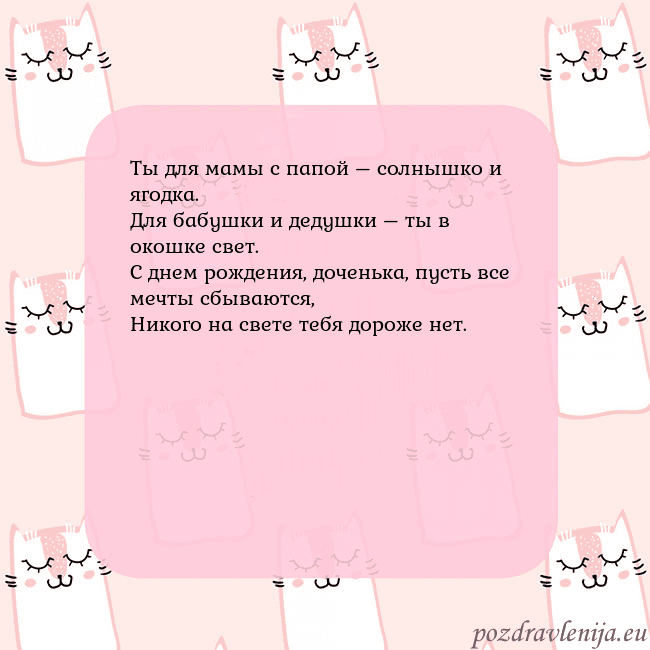 Розовая открытка с забавными кошками