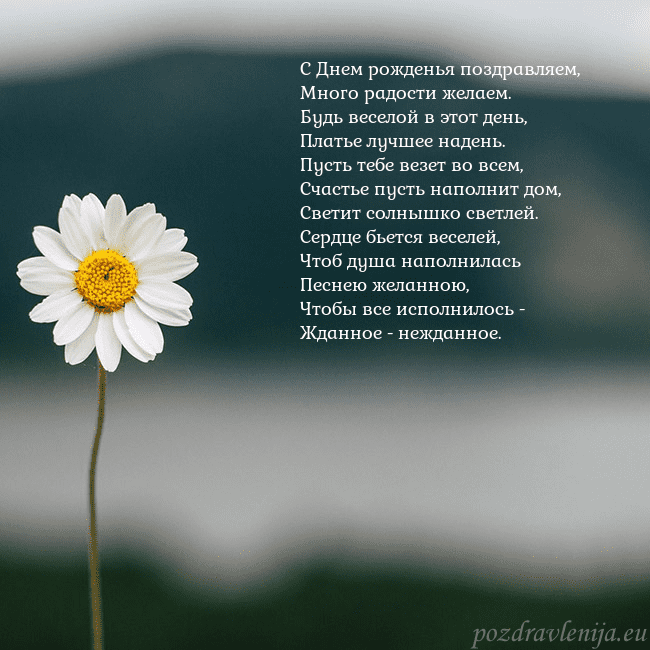 Электронная открытка с ромашкой