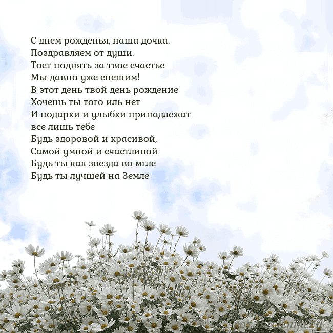 Открытка с ромашками