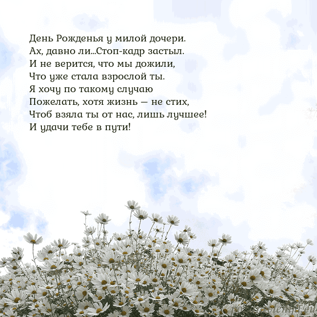 Открытка с ромашками