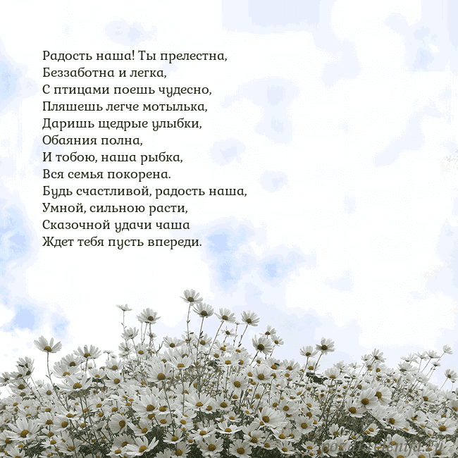 Открытка с ромашками