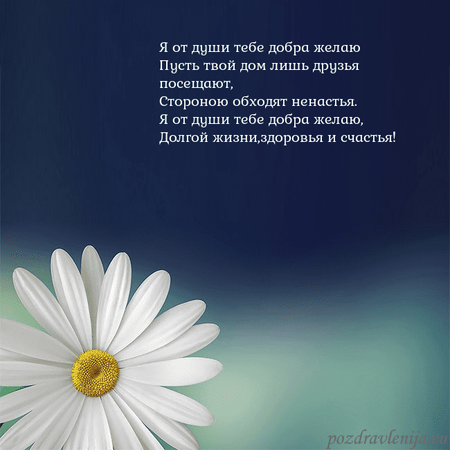 Открытка с большой ромашкой