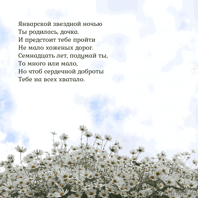 Открытка с ромашками