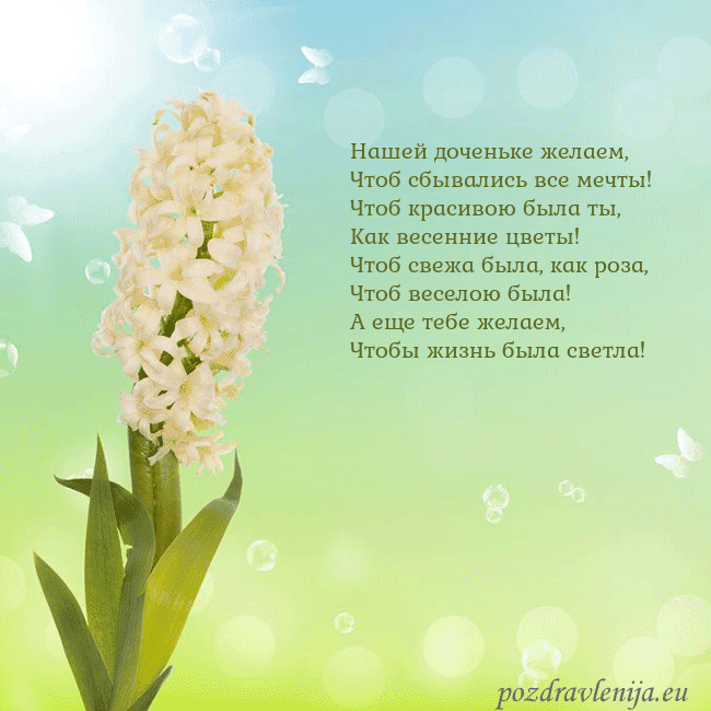 Открытка с гиацинтом