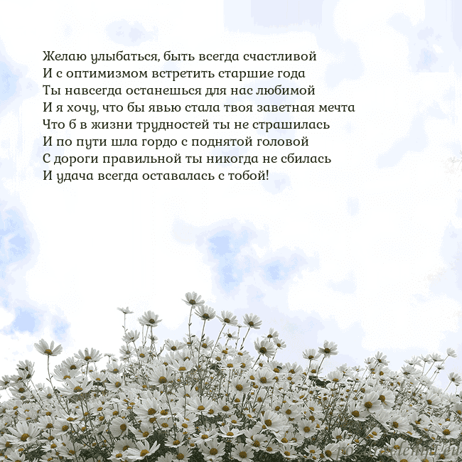 Открытка с ромашками
