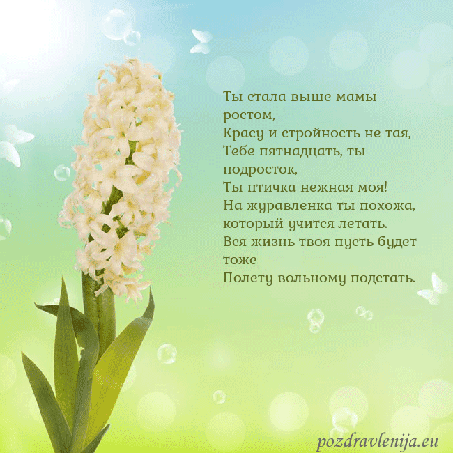 Открытка с гиацинтом