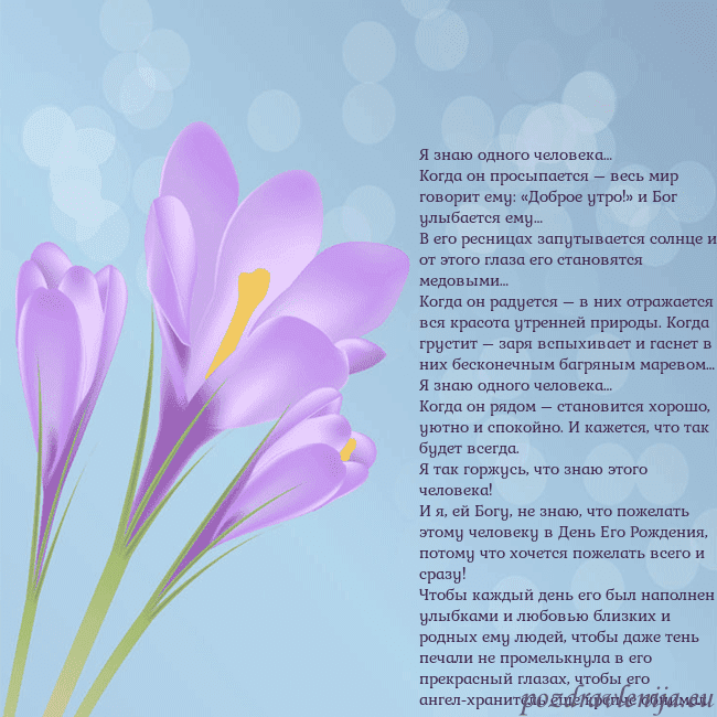 Открытка с крокусом
