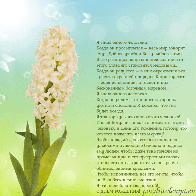 Открытка с гиацинтом