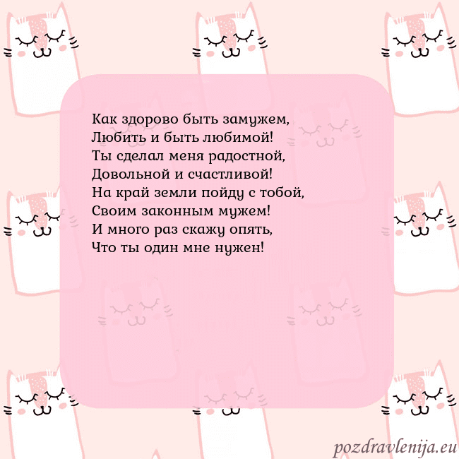 Розовая открытка с забавными кошками