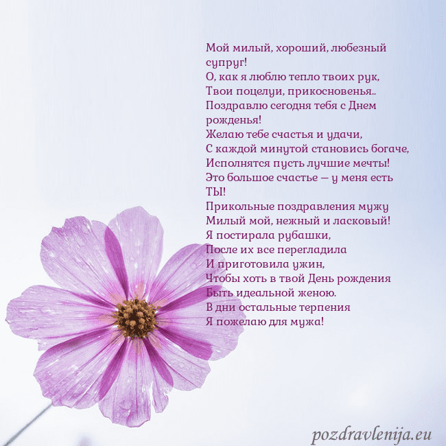 Электронная открытка с фиолетовым цветком