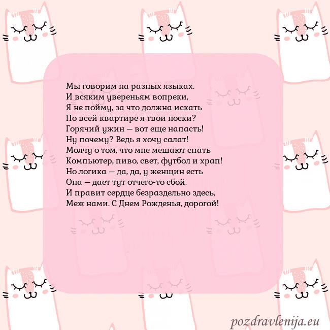 Розовая открытка с забавными кошками