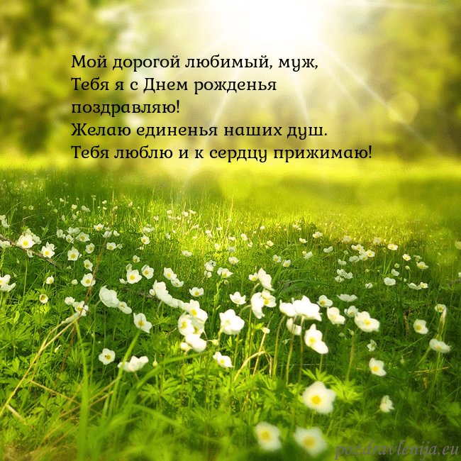 Электронная открытка с утопающим в солнечном свете лугом