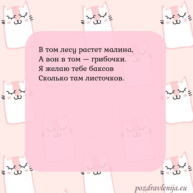 Розовая открытка с забавными кошками