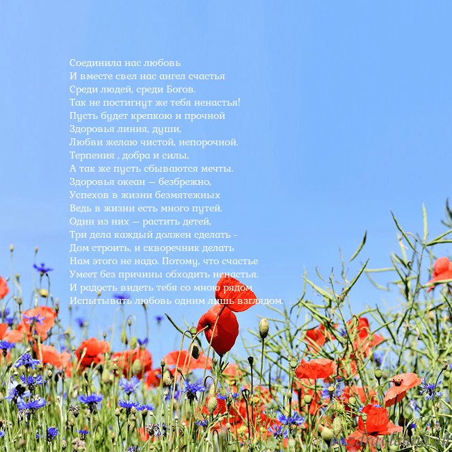 Открытка с маками Соединила нас любовь
И вместе свел нас ангел счаст Открытка с маками