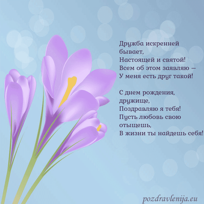 Открытка с крокусом