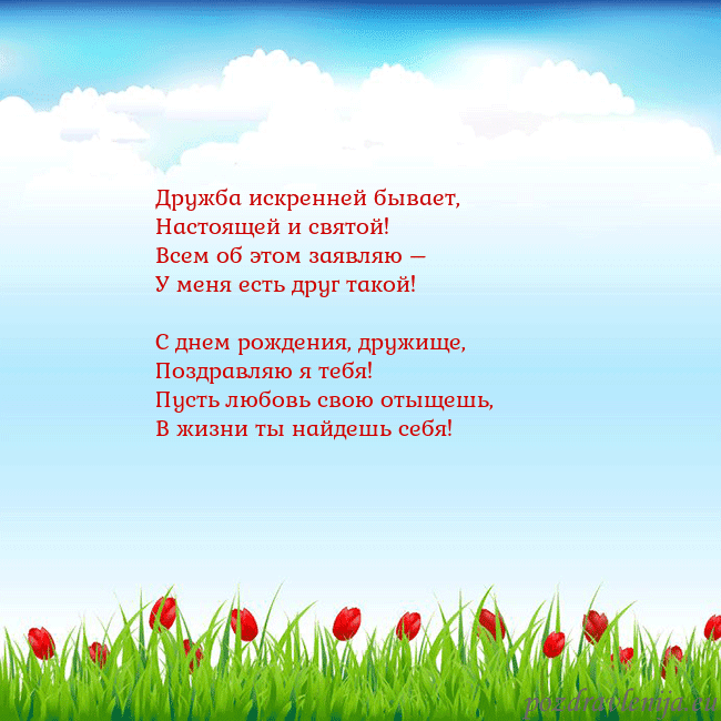 Открытка с тюльпанами