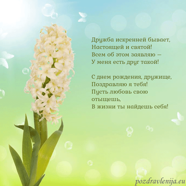 Открытка с гиацинтом