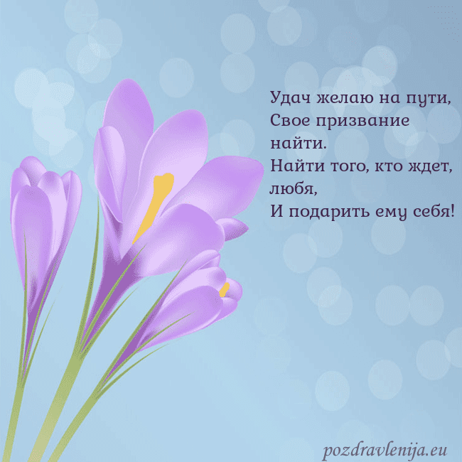 Открытка с крокусом