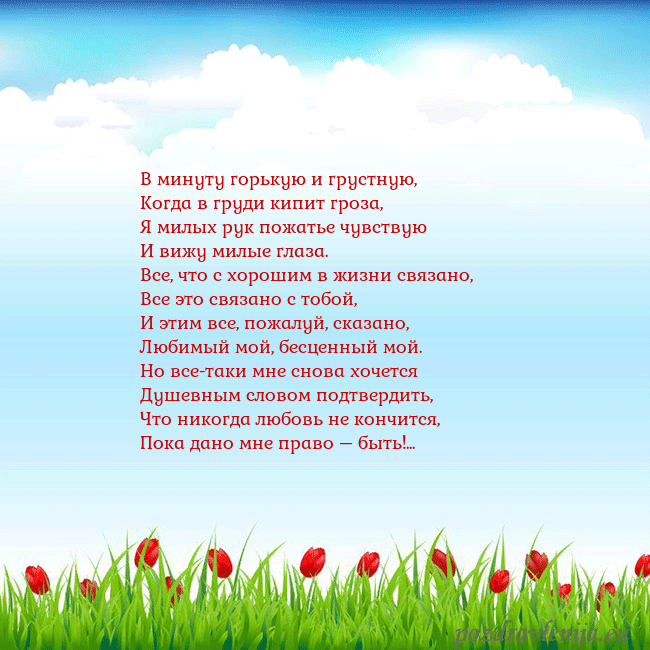 Открытка с тюльпанами