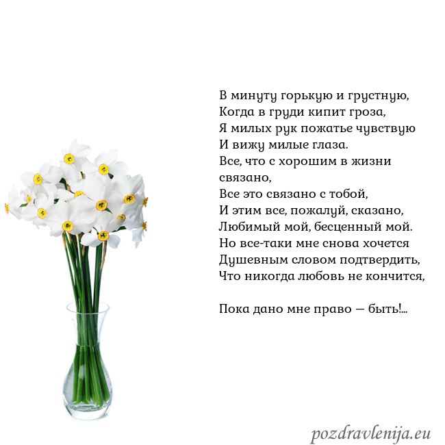 Открытка с нарциссами