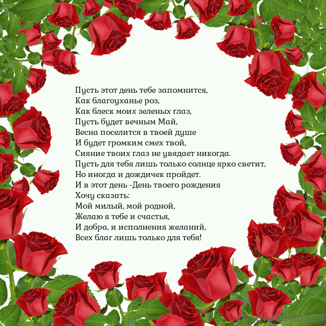 Открытка с красными розами