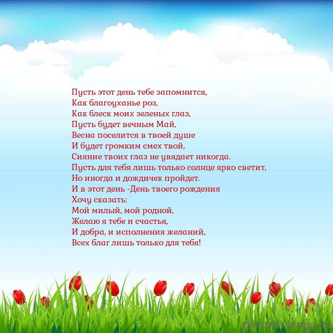 Открытка с тюльпанами