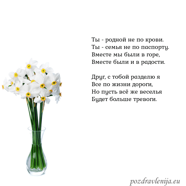 Открытка с нарциссами