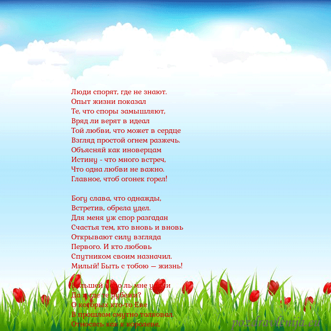 Открытка с тюльпанами