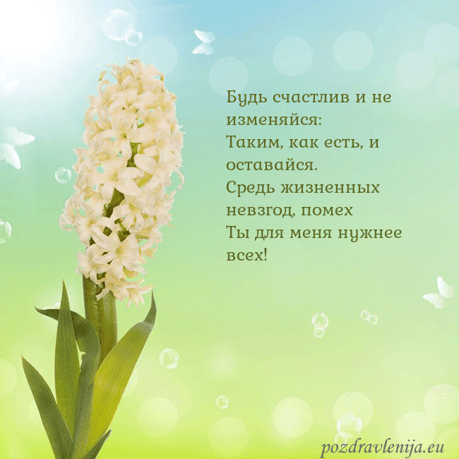 Открытка с гиацинтом