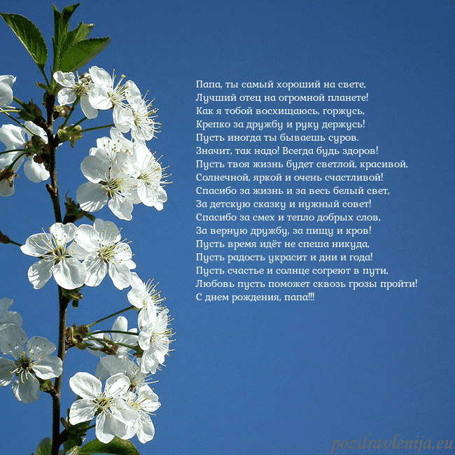 Открытка с весенними цветами Папа, ты самый хороший на свете,
Лучший отец на ог Открытка с весенними цветами