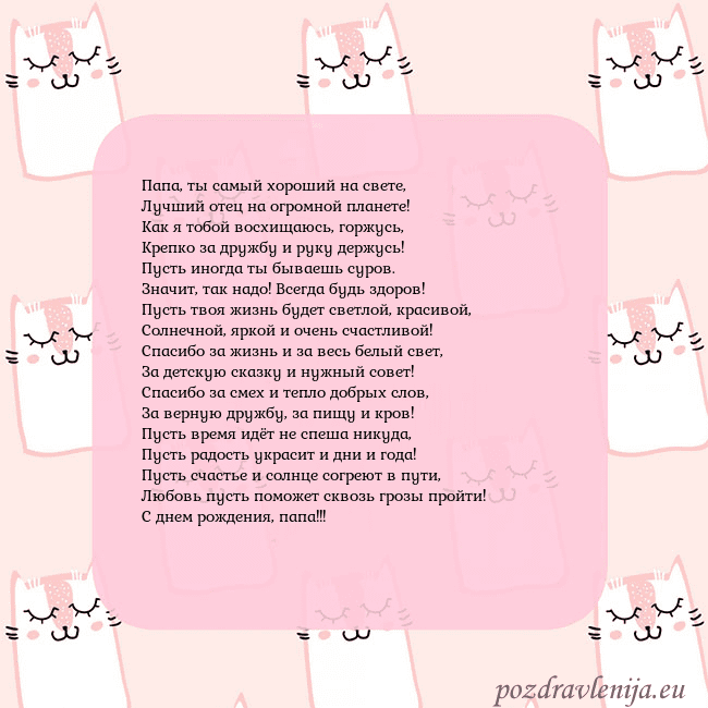 Розовая открытка с забавными кошками