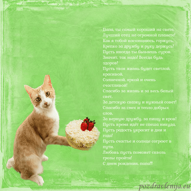 Забавная открытка на день рождения с кошкой и тортом Папа, ты самый хороший на свете,
Лучший отец на ог Забавная открытка на день рождения с кошкой и тортом