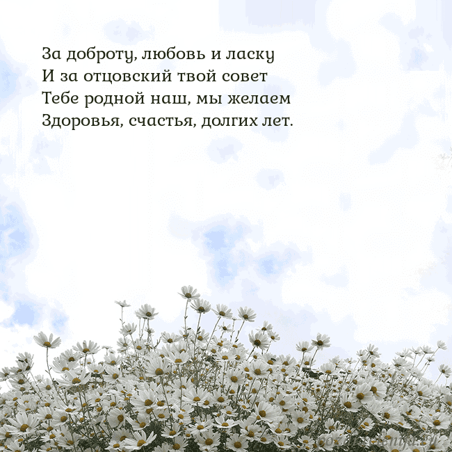 Открытка с ромашками