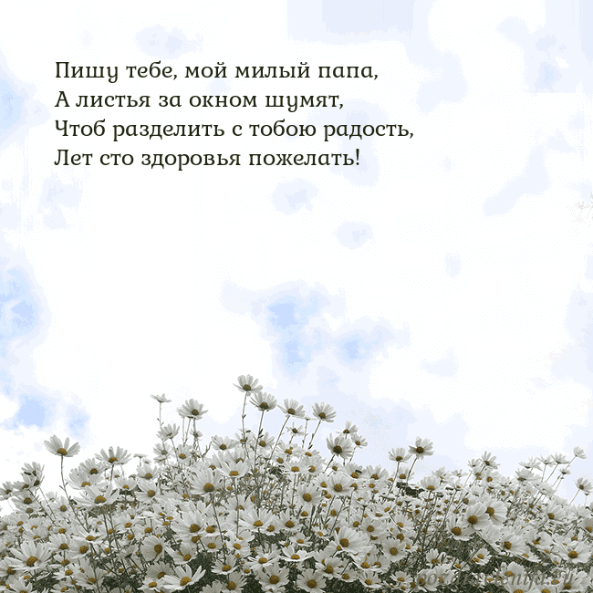 Открытка с ромашками