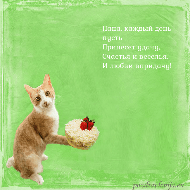 Забавная открытка на день рождения с кошкой и тортом