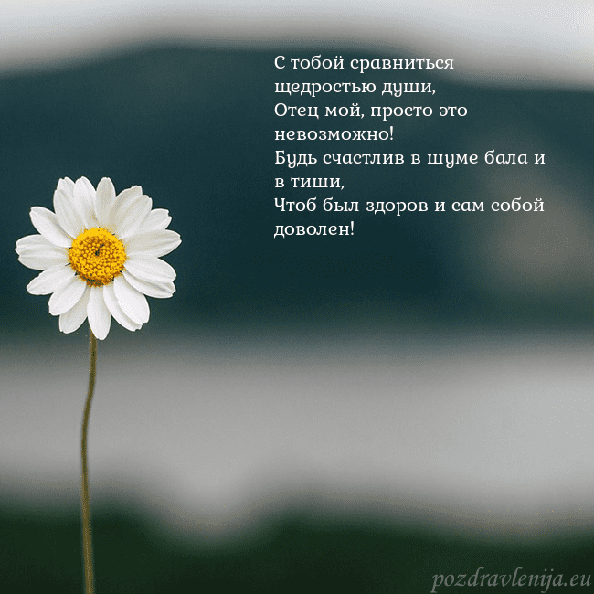 Электронная открытка с ромашкой