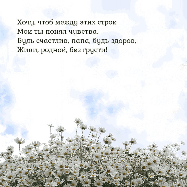 Открытка с ромашками