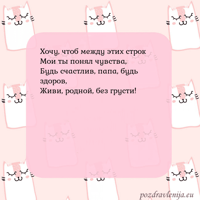 Розовая открытка с забавными кошками