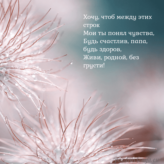 Открытка с пушистыми растениями