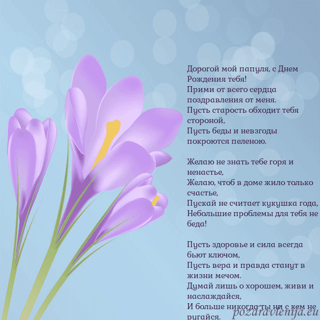 Открытка с крокусом