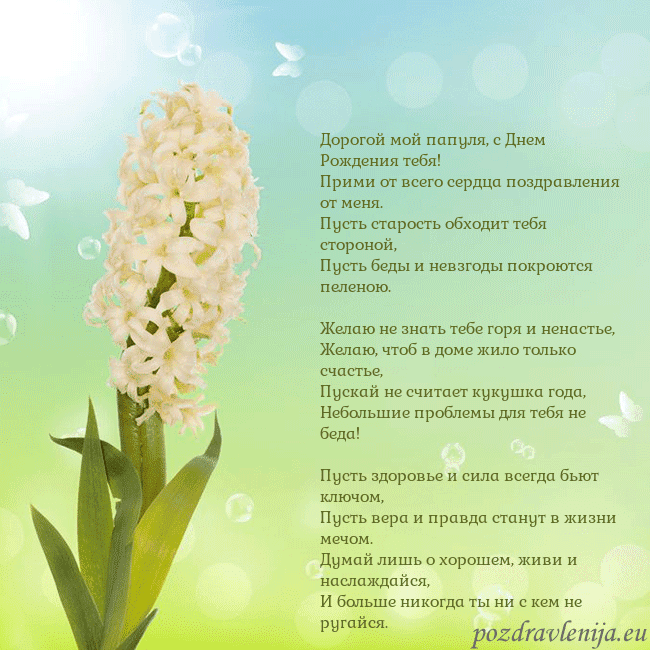 Открытка с гиацинтом