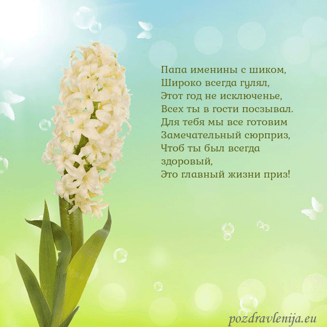 Открытка с гиацинтом