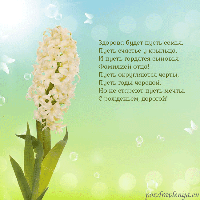 Открытка с гиацинтом