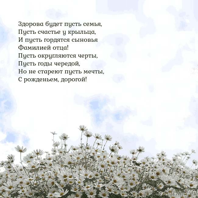 Открытка с ромашками