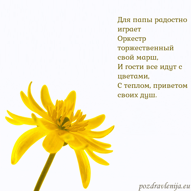 Открытка с желтым цветком