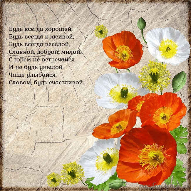 Открытка с маками