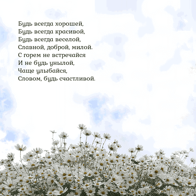 Открытка с ромашками